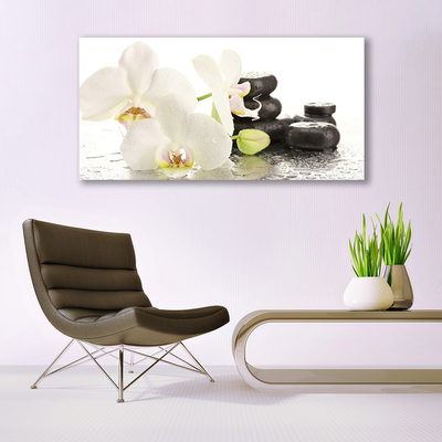 Photo sur toile Pierres fleurs floral blanc noir