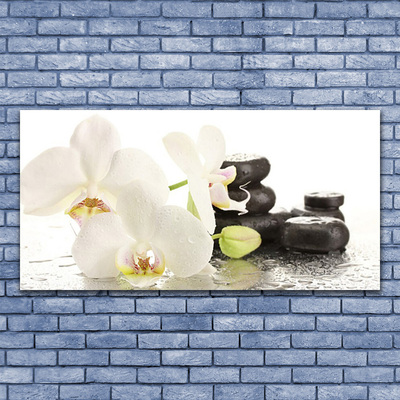 Photo sur toile Pierres fleurs floral blanc noir