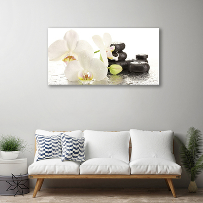 Photo sur toile Pierres fleurs floral blanc noir