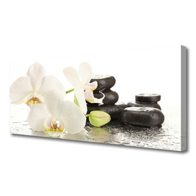 Photo sur toile Pierres fleurs floral blanc noir