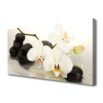 Photo sur toile Fleurs pierres art blanc noir