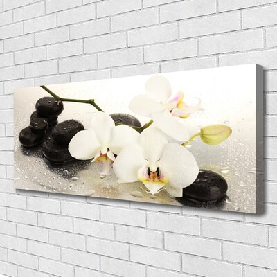 Photo sur toile Fleurs pierres art blanc noir