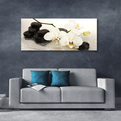 Photo sur toile Fleurs pierres art blanc noir