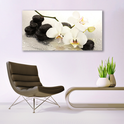 Photo sur toile Fleurs pierres art blanc noir