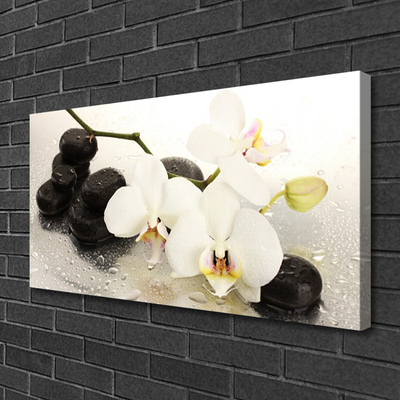 Photo sur toile Fleurs pierres art blanc noir