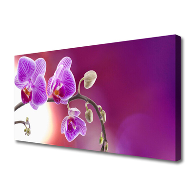 Photo sur toile Fleurs floral rose