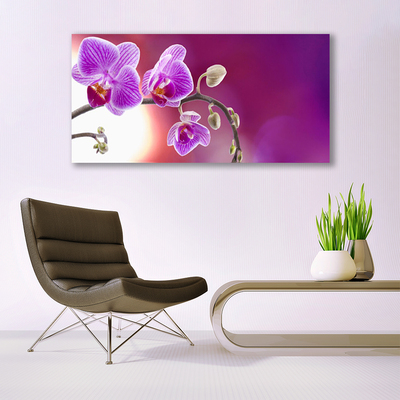 Photo sur toile Fleurs floral rose