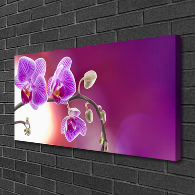 Photo sur toile Fleurs floral rose