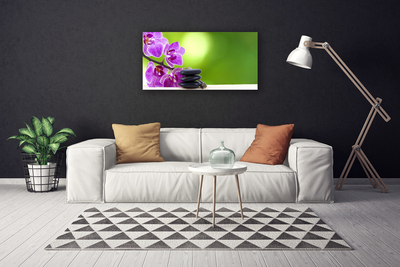 Photo sur toile Pierres fleurs floral rose noir