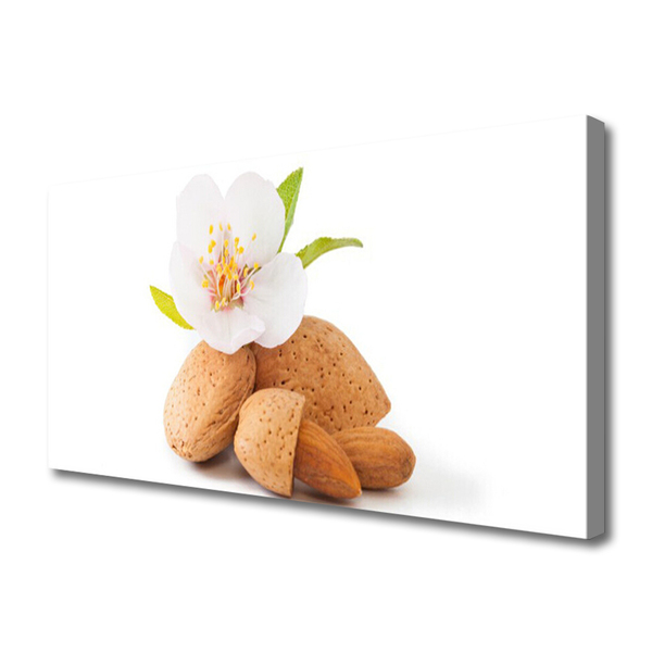 Photo sur toile Fleurs pistache floral blanc brun