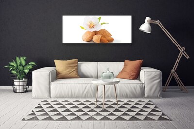 Photo sur toile Fleurs pistache floral blanc brun