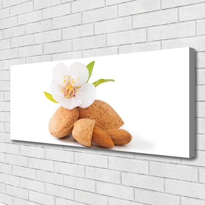 Photo sur toile Fleurs pistache floral blanc brun