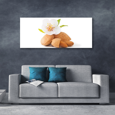 Photo sur toile Fleurs pistache floral blanc brun