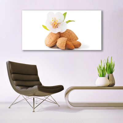 Photo sur toile Fleurs pistache floral blanc brun