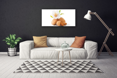 Photo sur toile Fleurs pistache floral blanc brun