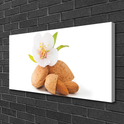 Photo sur toile Fleurs pistache floral blanc brun