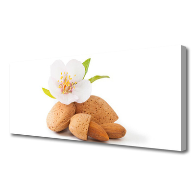 Photo sur toile Fleurs pistache floral blanc brun