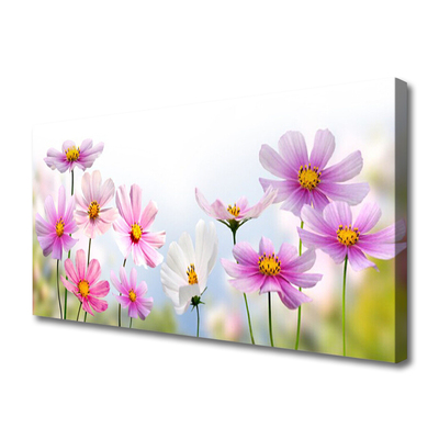 Photo sur toile Fleurs floral rose