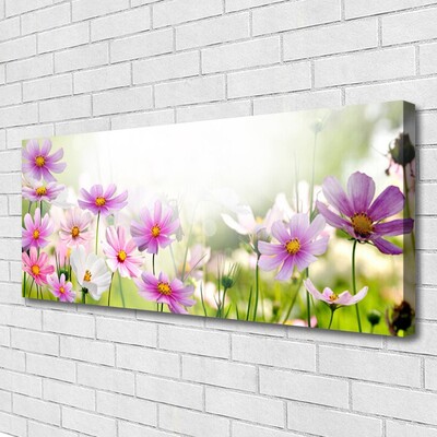 Photo sur toile Fleurs floral rose