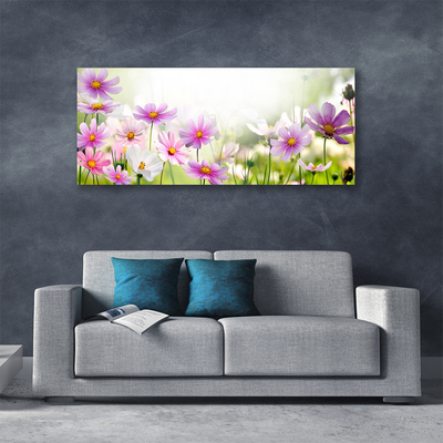 Photo sur toile Fleurs floral rose