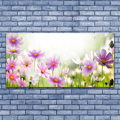 Photo sur toile Fleurs floral rose