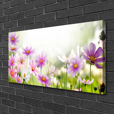 Photo sur toile Fleurs floral rose