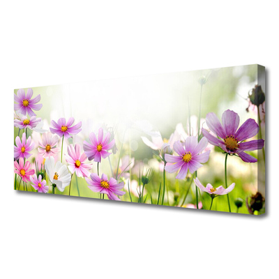 Photo sur toile Fleurs floral rose