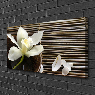 Photo sur toile Fleur floral blanc