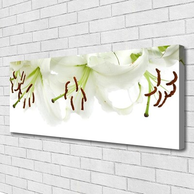 Photo sur toile Fleurs floral blanc vert brun