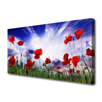 Photo sur toile Coquelicots nature rouge vert violet blanc