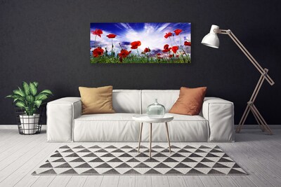 Photo sur toile Coquelicots nature rouge vert violet blanc