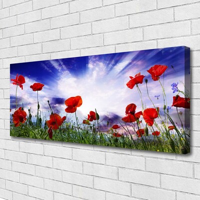 Photo sur toile Coquelicots nature rouge vert violet blanc