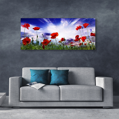 Photo sur toile Coquelicots nature rouge vert violet blanc