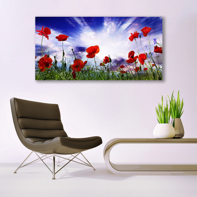 Photo sur toile Coquelicots nature rouge vert violet blanc