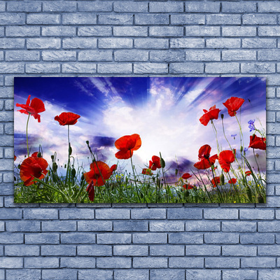 Photo sur toile Coquelicots nature rouge vert violet blanc