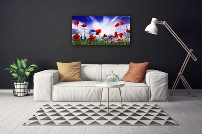 Photo sur toile Coquelicots nature rouge vert violet blanc