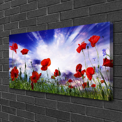 Photo sur toile Coquelicots nature rouge vert violet blanc