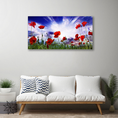 Photo sur toile Coquelicots nature rouge vert violet blanc