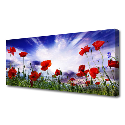 Photo sur toile Coquelicots nature rouge vert violet blanc