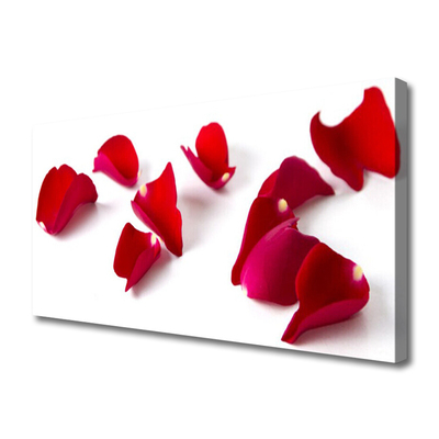 Photo sur toile Pétales floral rouge