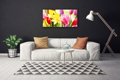 Photo sur toile Fleurs floral rouge jaune vert