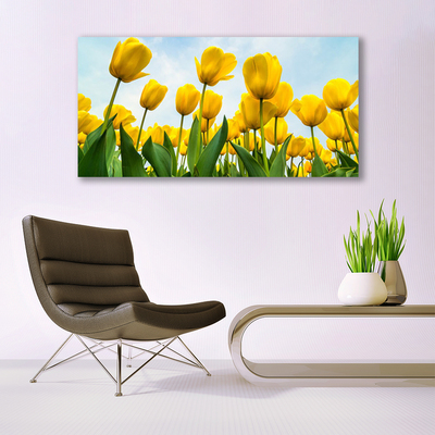 Photo sur toile Tulipes floral jaune vert