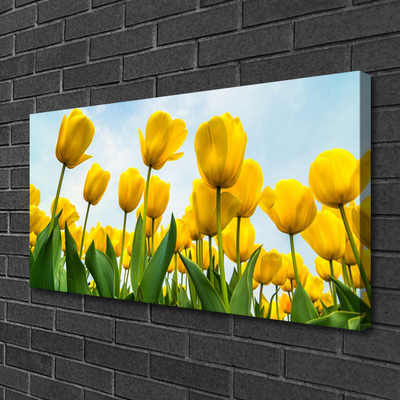 Photo sur toile Tulipes floral jaune vert