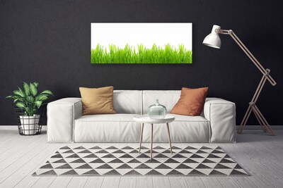 Photo sur toile Herbe nature vert