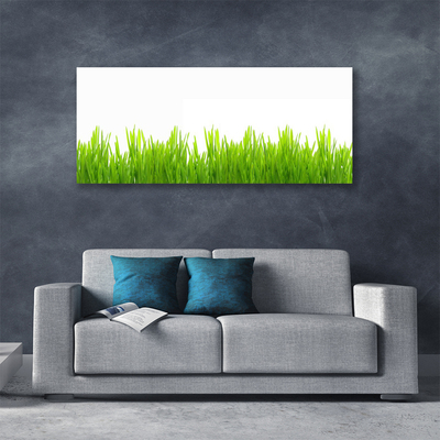 Photo sur toile Herbe nature vert