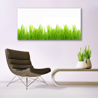 Photo sur toile Herbe nature vert