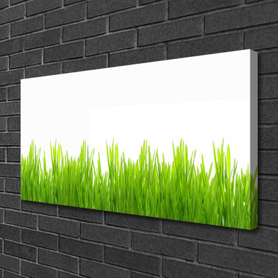 Photo sur toile Herbe nature vert