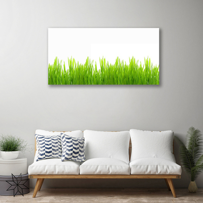 Photo sur toile Herbe nature vert