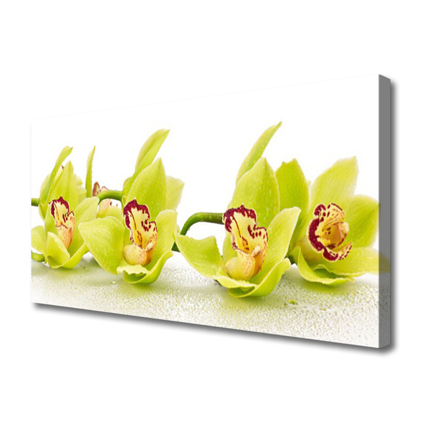 Photo sur toile Fleurs floral vert