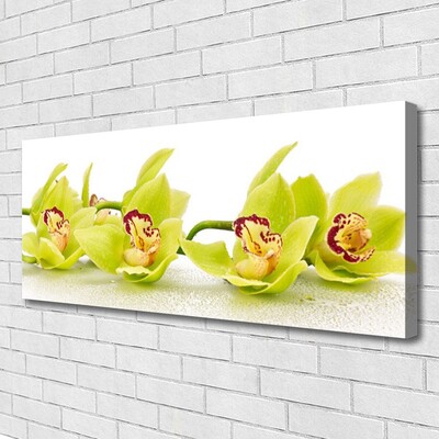 Photo sur toile Fleurs floral vert